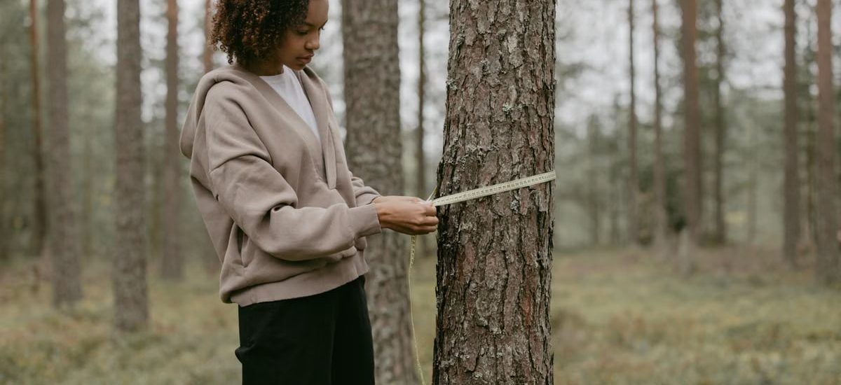 A young woman in a forest measuring the trunk of a tree with a tape measure.