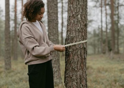 A young woman in a forest measuring the trunk of a tree with a tape measure.